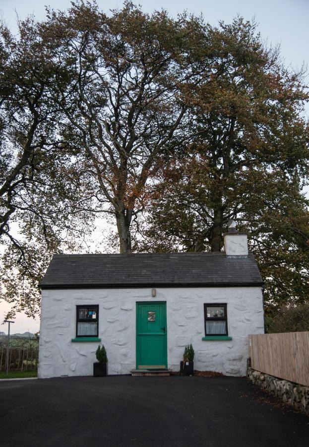 Drumaneir Cottage Carrickmore Extérieur photo